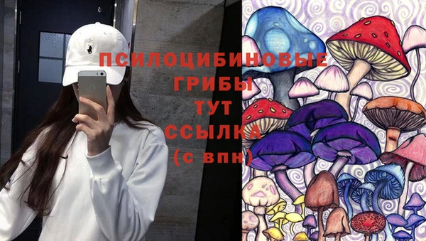 первитин Арсеньев