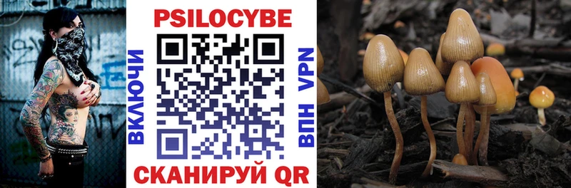 Псилоцибиновые грибы Cubensis  Купить где  Сосновка 